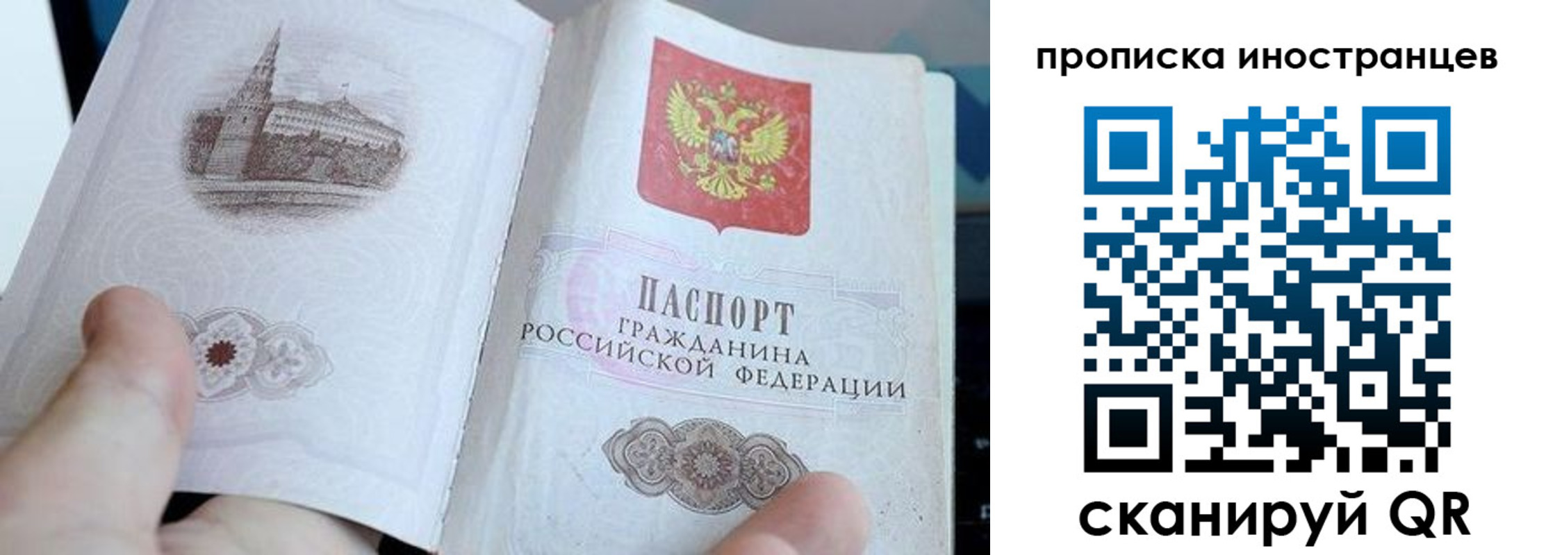 прописка поиск в Камышлове